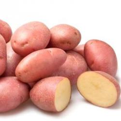 Картофель  семянной  Любава  60 дней   1 кг