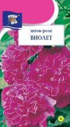 цв.мног. ШТОК - РОЗА  ВИОЛЕТ / Урожай у Дачи /