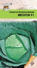 капуста   МЕГАТОН F1  до 10 кг  / Урожай у Дачи /