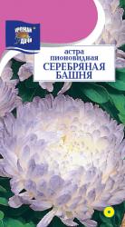 астра БАШНЯ СЕРЕБРЯНАЯ Пионовидная  / Урожай у Дачи /