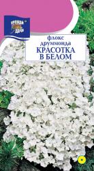 цв. одн. ФЛОКС  ДРУМОНДА  КРАСОТКА  В  БЕЛОМ / Урожай у Дачи / 