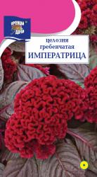 цв. одн. ЦЕЛОЗИЯ  ГРЕБЕНЧАТАЯ  ИМПЕРАТРИЦА  / Урожай у Дачи /