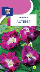 цв. одн. ИПОМЕЯ  ЛОТЕРЕЯ  МАХРОВАЯ  ВЬЮНОК  / Урожай у Дачи /