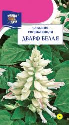 цв. одн. САЛЬВИЯ ДВАРФ БЕЛАЯ СВЕРКАЮЩАЯ / Урожай у Дачи /