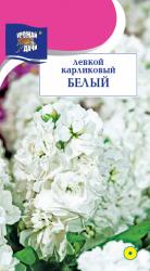 цв. одн. ЛЕВКОЙ  КАРЛИКОВЫЙ  БЕЛЫЙ  МАХРОВЫЙ  30 см   / Урожай у Дачи /