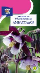 цв.мног. АКВИЛЕГИЯ  АМБАСАДОР  / Урожай у Дачи /