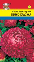 астра ЛЕДИ КОРАЛЛ  ТЕМНО-КРАСНАЯ   / Урожай у Дачи /