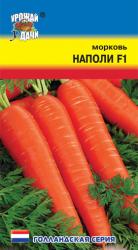 морковь НАПОЛИ  F-1 сладкая, хорошо хранится  / Урожай у Дачи / 