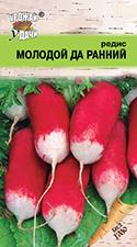 редис МОЛОДОЙ  ДА  РАННИЙ  16-18 дней / Урожай у Дачи /