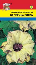 цв.мног. ДАТУРА  БАЛЕРИНА  ЕЛЛОУ  МЕТЕЛЬЧАТАЯ / Урожай у Дачи /