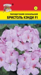 цв. комн. ПЕЛАРГОНИЯ ЗОНАЛЬНАЯ БРИСТОЛЬ КЭНДИ  F1 Урожай у Дачи /