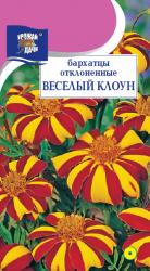 цв. одн. БАРХАТЦЫ  ВЕСЕЛЫЙ  КЛОУН / Урожай у Дачи  /