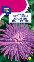 цв. одн. ЦИНИЯ  ЛИЛОВЫЙ  ИМПЕРАТОР   / Урожай у Дачи /