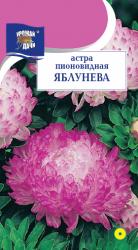 астра ЯБЛУНЁВА  меняет окраску по срокам цветения  / Урожай у Дачи /