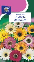 цв. одн. АРКТОТИС  СМЕСЬ  ОКРАСОК / Урожай у Дачи /