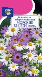 цв. одн. Брахикома  Морские брызги Смесь окрасок   / Урожай у Дачи  /																