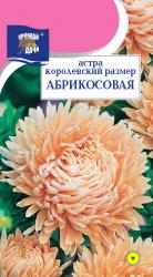 астра КОРОЛЕВСКИЙ  РАЗМЕР  АБРИКОСОВАЯ  / Урожай у Дачи /