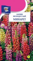 цв.мног. ЛЮПИН МИНАРЕТ  НИЗКОРОСЛЫЙ  СМЕСЬ / Урожай у Дачи /