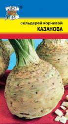 СЕЛЬДЕРЕЙ  КОРНЕВОЙ  КАЗАНОВА  / Урожай у Дачи /