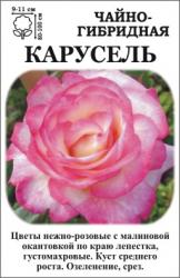 Роза Карусель /ЧГ/ бело-розовая   (в тубе)