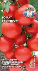 томат СПРУТ  F-1 (ТОМАТНОЕ ДЕРЕВО) урожай до 1500 кг  с одного растения  / Седек /