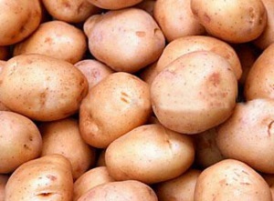  картофель семянной Тимо Ханккиян 60 дней