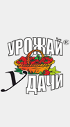 Укроп  ЛИДЕР  РЫНКА  Б/П  кустовой ОЧЕНЬ АРОМАТНЫЙ Посев в несколько раз за сезон   / Урожай у Дачи /