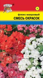 Флокс   махровый   СМЕСЬ ОКРАСОК