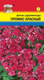 Флокс   ПРОМИС  МАХРОВЫЙ  КРАСНЫЙ  