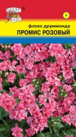 Флокс   ПРОМИС  МАХРОВЫЙ  РОЗОВЫЙ