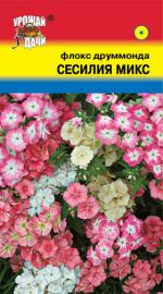 Флокс   СЕСИЛИЯ СМЕСЬ друммонда