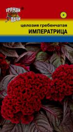 Целозия   гребенчатая   ИМПЕРАТРИЦА