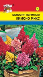 Целозия   перистая    КИМОНО СМЕСЬ