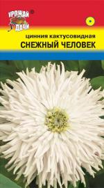 Цинния   СНЕЖНЫЙ ЧЕЛОВЕК   кактусовидная