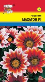 Гацания   МАХАГОН  F1