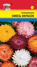 Гелихризум   СМЕСЬ ОКРАСОК