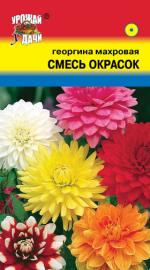 Георгина   махровая   СМЕСЬ ОКРАСОК