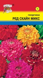 Георгина   махровая   РЕД СКАЙН МИКС