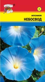Ипомея   НЕБОСВОД