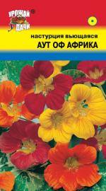 Настурция  АУТ ОФ АФРИКА  вьющаяся  