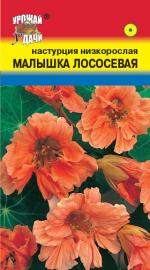 Настурция  МАЛЫШКА ЛОСОСЕВАЯ низкорослая 