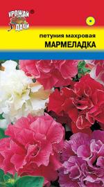 Петуния   МАРМЕЛАДКА   махровая  НОВИНКА!!!