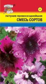 Петуния   ПРЕВОСХОДНЕЙШАЯ СМЕСЬ СОРТОВ