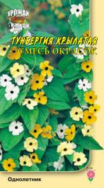 Тунбергия   ЛИАНА   СМЕСЬ ОКРАСОК