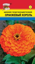 Цинния  ОРАНЖЕВЫЙ КОРОЛЬ  георгиноцветковая