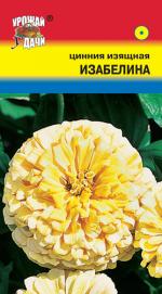 Цинния   ИЗАБЕЛИНА   изящная