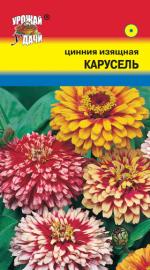 Цинния   КАРУСЕЛЬ   изящная