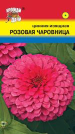 Цинния   РОЗОВАЯ ЧАРОВНИЦА  изящная