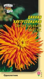 Цинния  ОРАНЖЕВЫЙ АЦТЕК  кактусовидная