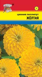 Цинния   лиллипут   ЖЕЛТАЯ
